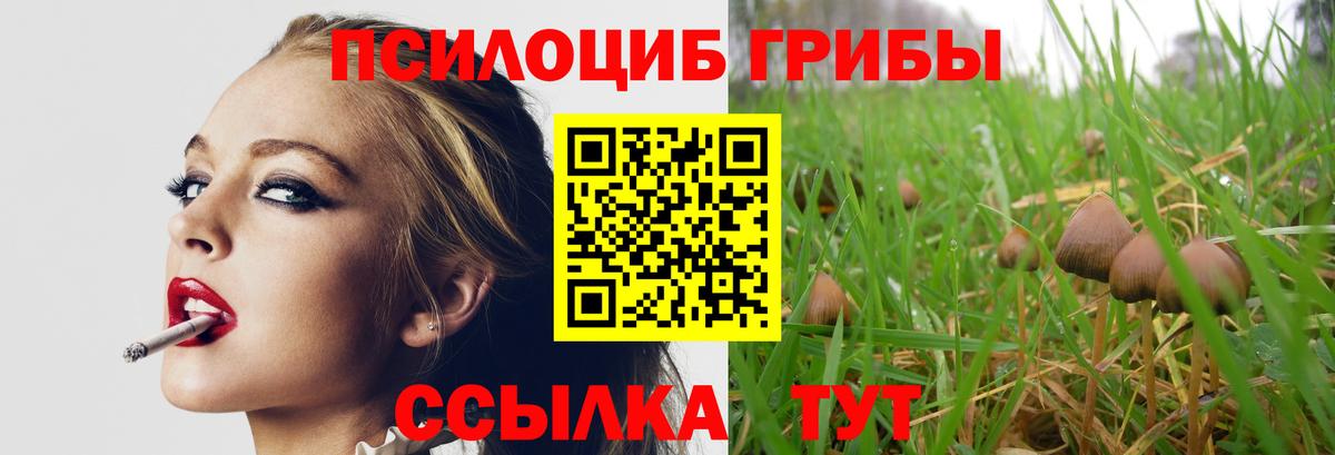 Галлюциногенные грибы мицелий  Вход с VPN  Чернушка  Псилоцибиновые грибы мухоморы 