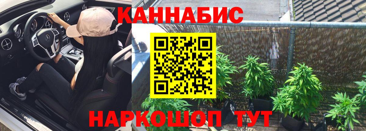 Марихуана White Widow  Канабис план  Бошки Шишки семена  Чернушка  МАРИХУАНА Bruce Banner  Вход с VPN 